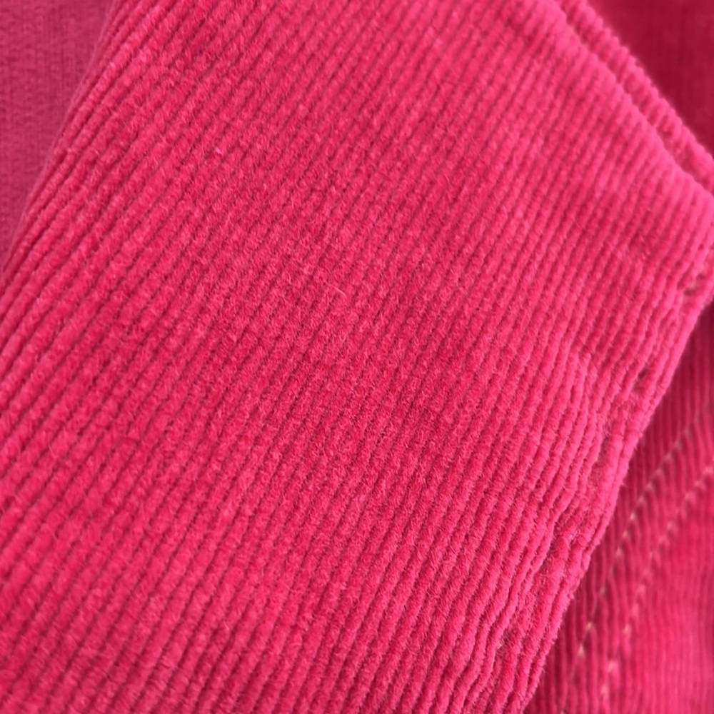 Tulle Anthropologie Pink Corduroy Blazer - Picture 2 of 9